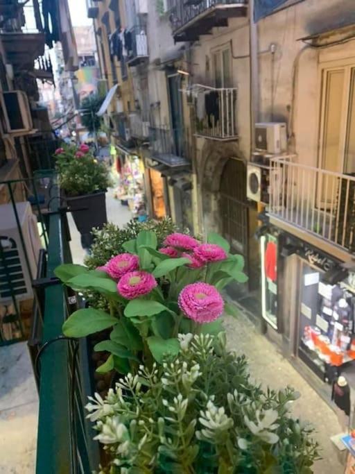 La Casa Di Patta A Spaccanapoli المظهر الخارجي الصورة