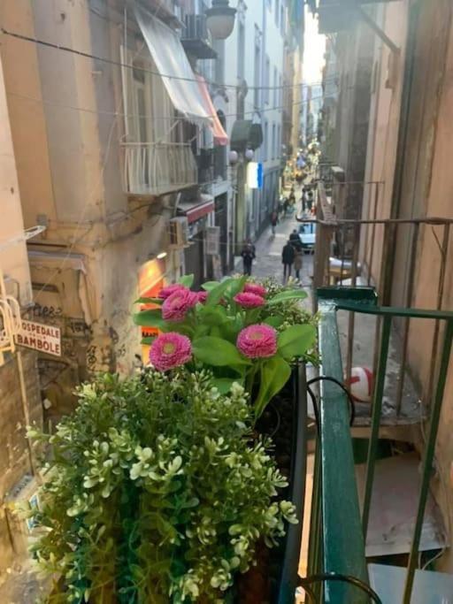 La Casa Di Patta A Spaccanapoli المظهر الخارجي الصورة